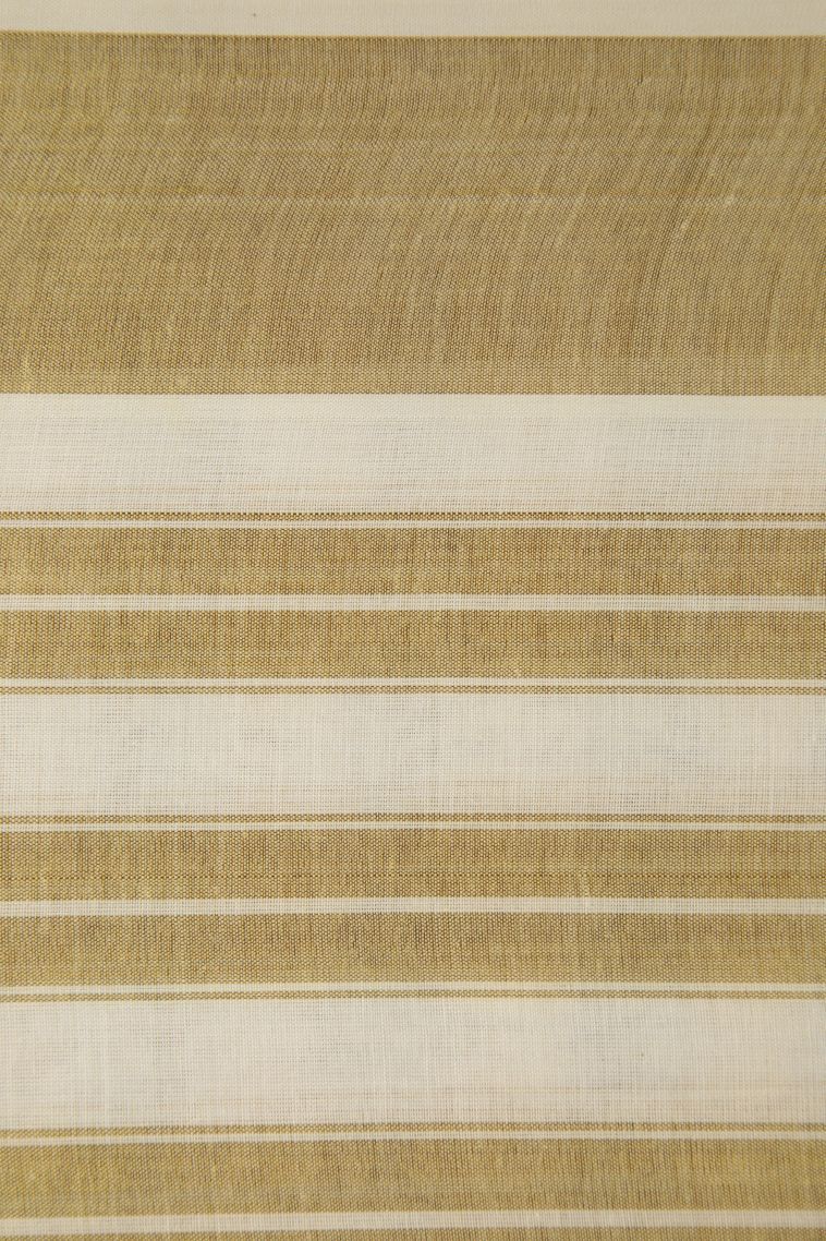 Cream White Silk Cotton with Gold Zari Buttis (small Dots Or Motifs) view 3