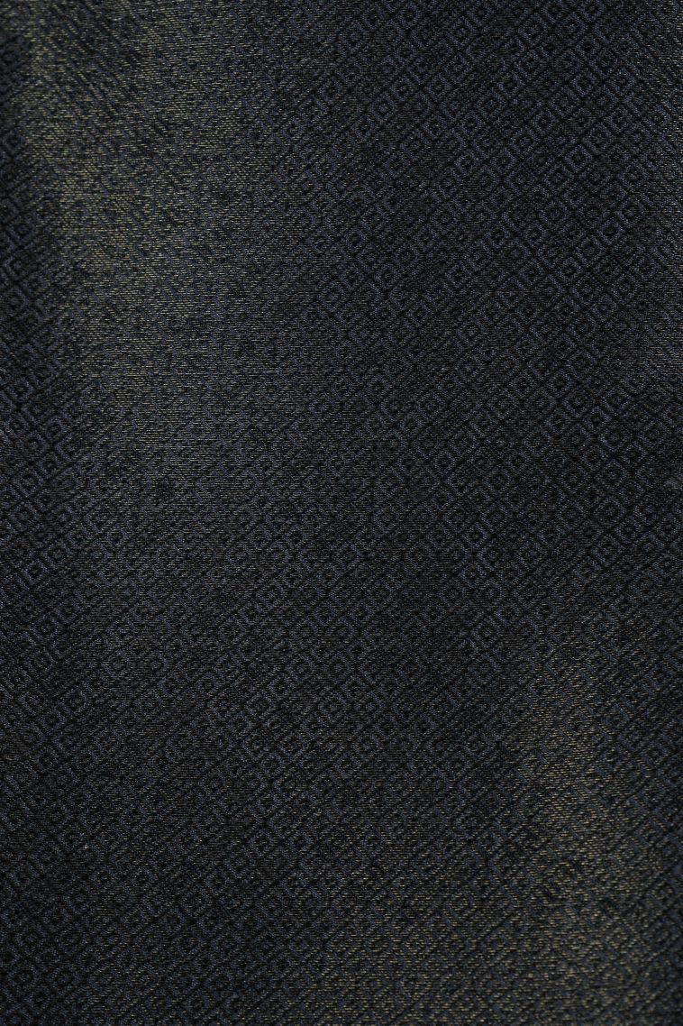 Stone Blue Art Silk with Bronze Zari Floral Patterns view 3