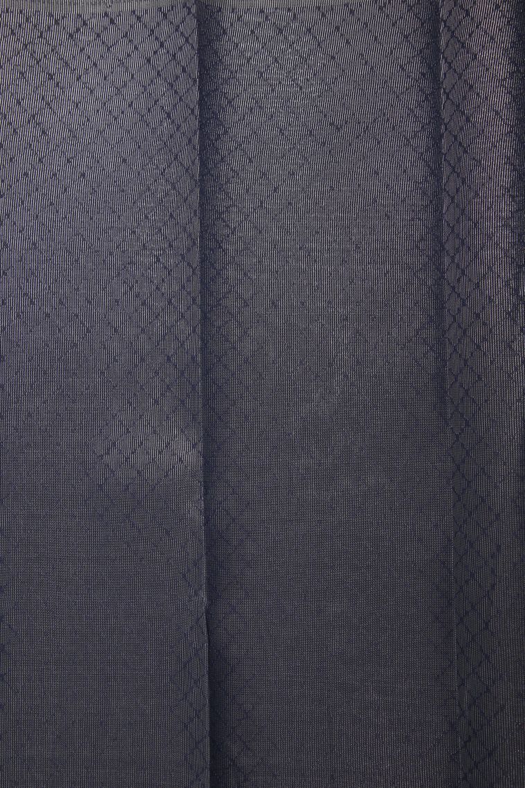 Sky Blue Visiri Madippu Silk Sarees with Silver Zari Checks view 3