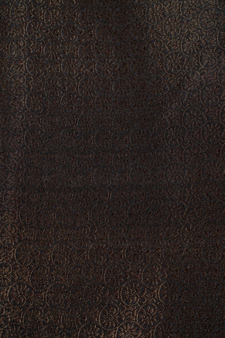 Asphalt Black Art Silk with Bronze Zari Floral Patterns view 3