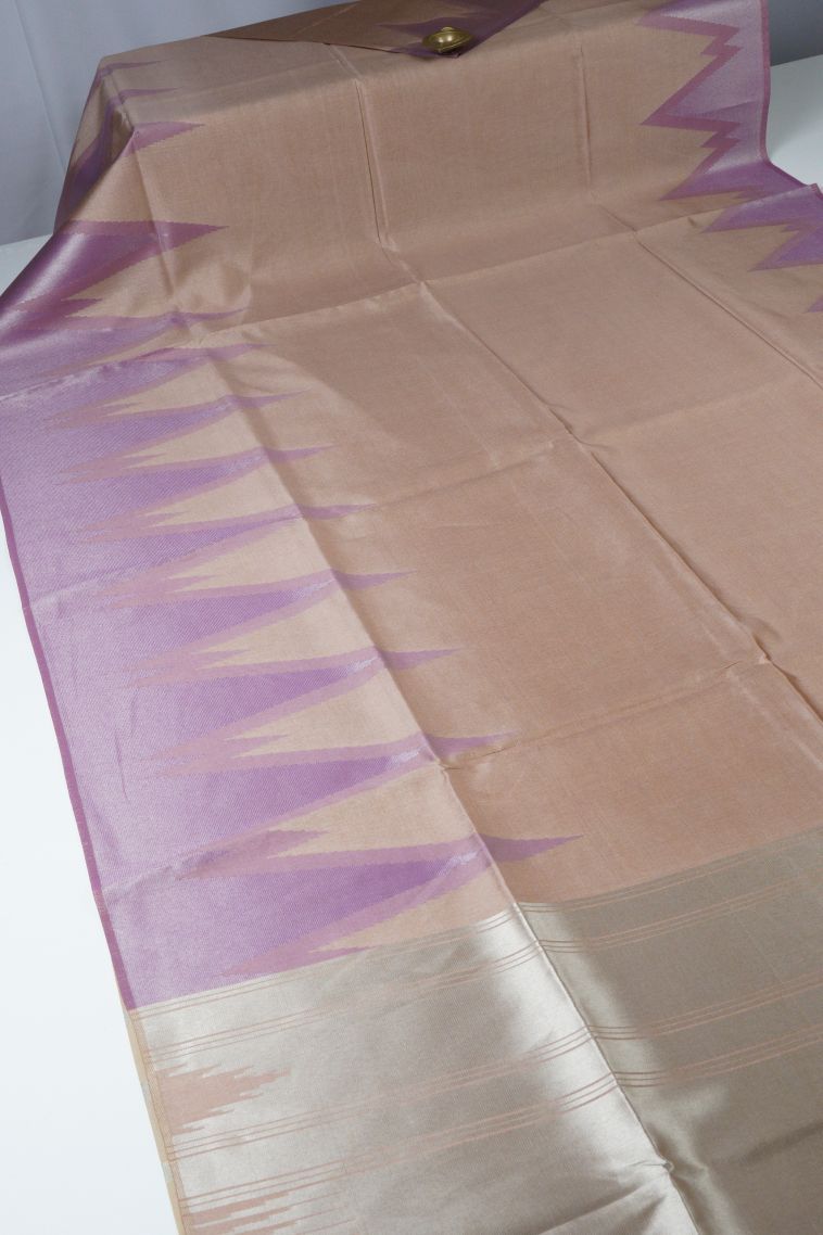 Tortilla Brown Tussar Saree with Silver Zari Floral Patterns view 2