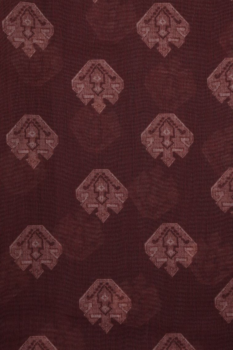 Cotton White Tussar Saree with Without Zari Zari Animal And Bird Motifs view 3