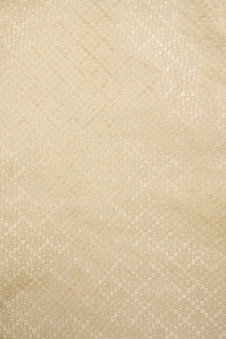 Cream White Organza Saree with Without Zari Zari Floral Patterns view 3