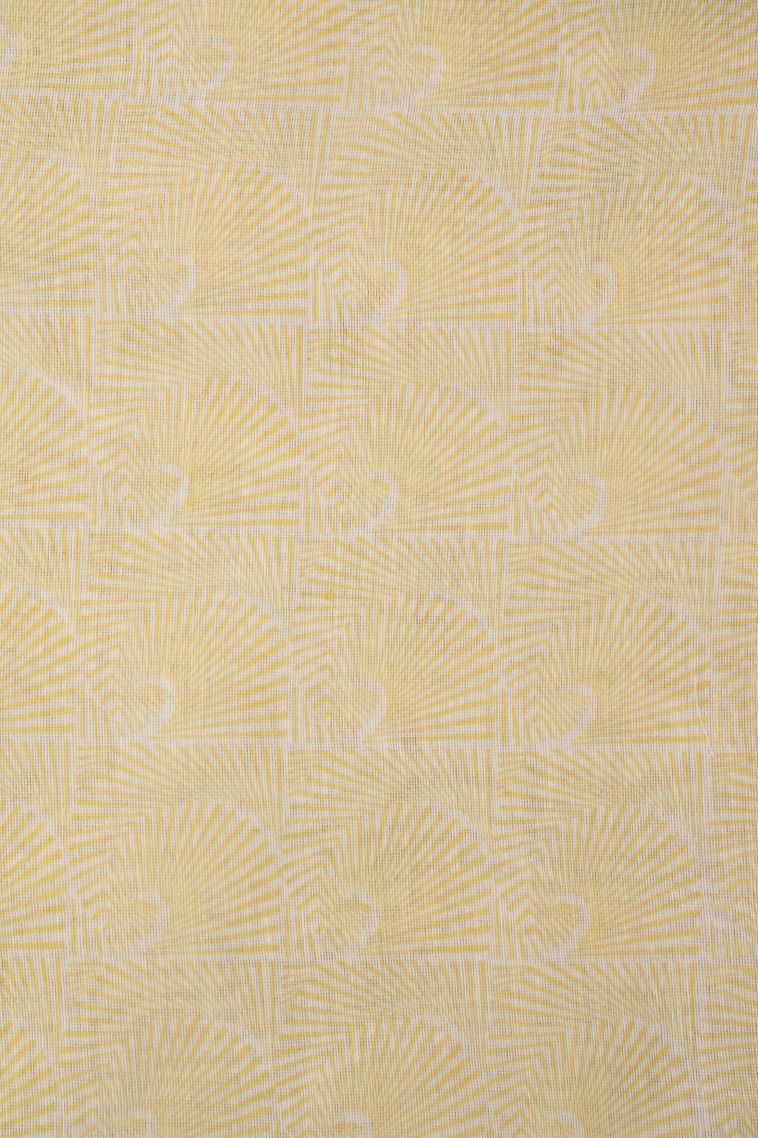 Cream White Organza Saree with Without Zari Zari Buttis (small Dots Or Motifs) view 3