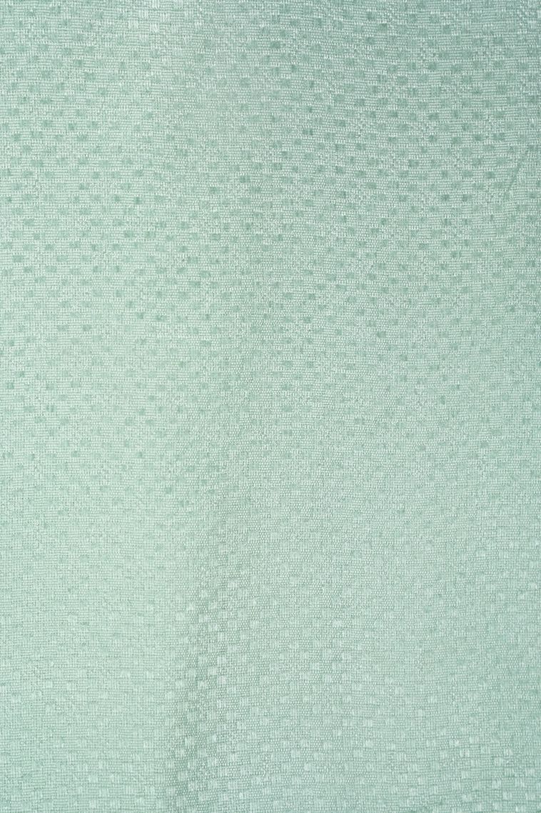 Pistachio Green Organza Saree with Without Zari Zari Floral Patterns view 3