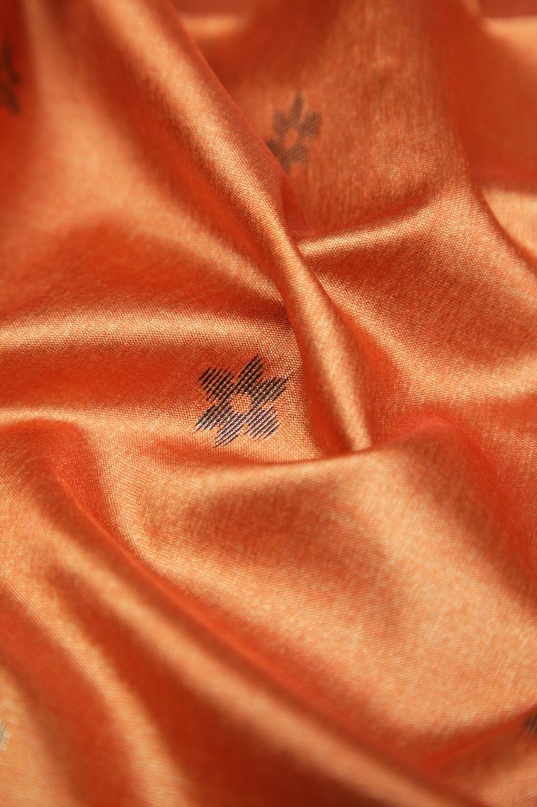 Amber Orange Tussar Saree with Bronze Zari Buttis (small Dots Or Motifs) view 4