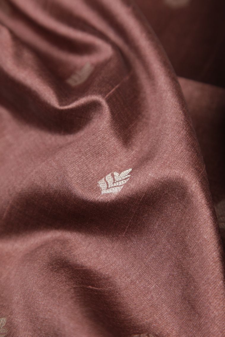 Tawny Brown Tussar Saree with Bronze Zari Buttis (small Dots Or Motifs) view 4