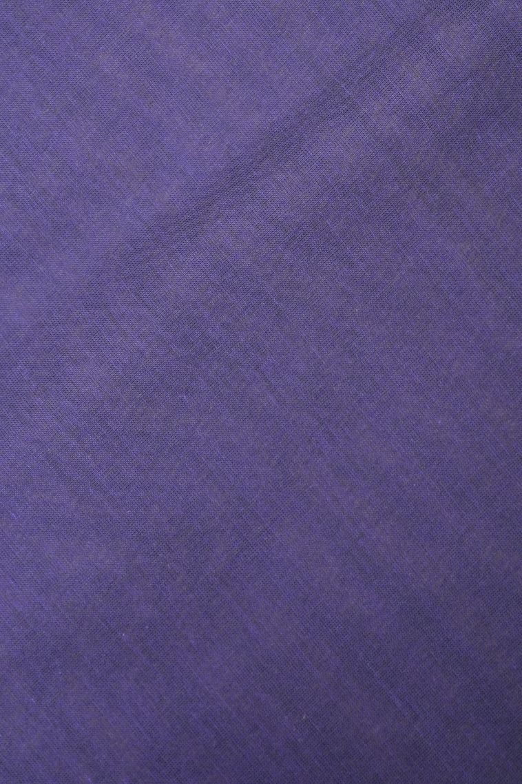 Azure Blue Kovai Cotton Sarees with Without Zari Zari Buttis (small Dots Or Motifs) view 3