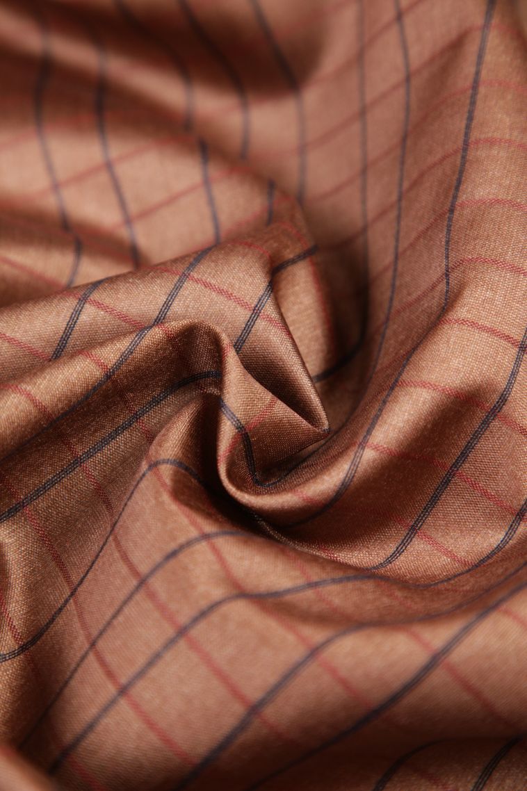 Tawny Brown Tussar Saree with Without Zari Zari Checks view 4