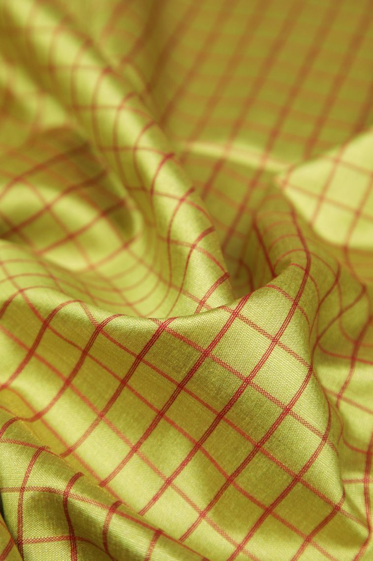 Lime Green Tussar Saree with Without Zari Zari Checks view 4