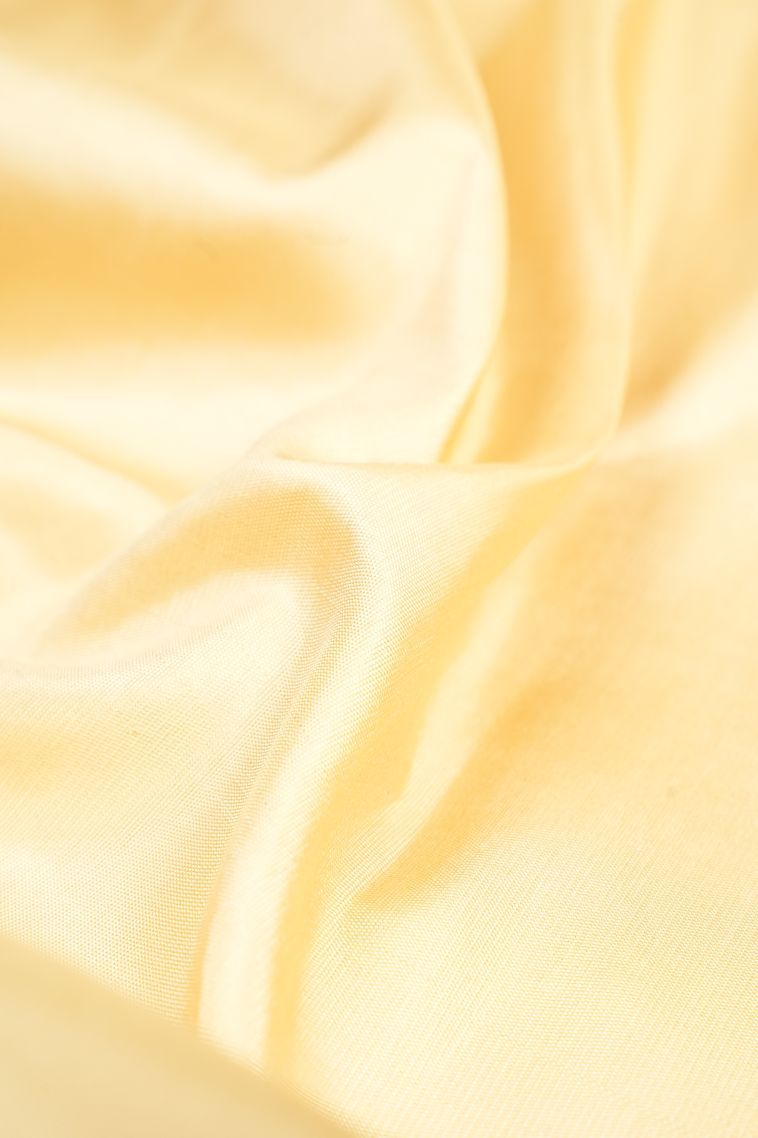 Cream White Kanchipuram Silk Sarees with Without Zari Zari Plain view 4