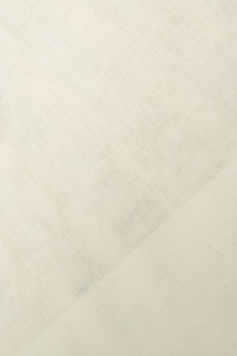 Porcelain White Kovai Cotton Sarees with Without Zari Zari Buttis (small Dots Or Motifs) view 3