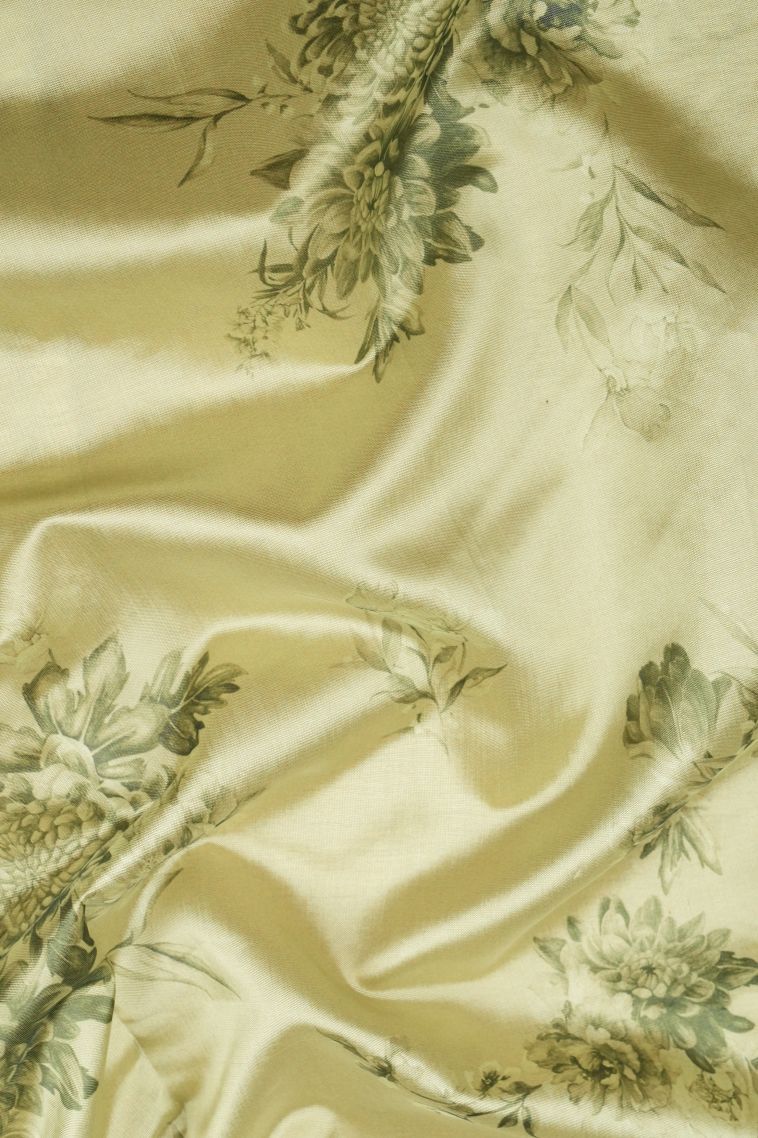 Pistachio Green Organza Saree with Without Zari Zari Floral Patterns view 3