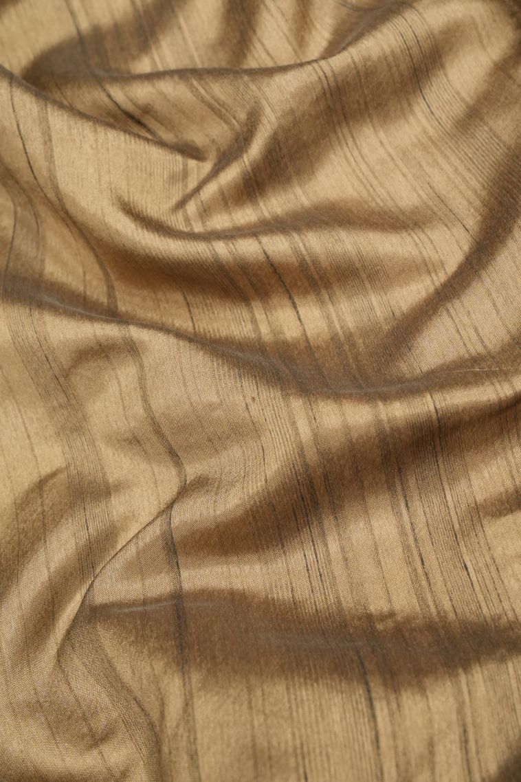 Tortilla Brown Tussar Saree with Without Zari Zari Buttis (small Dots Or Motifs) view 3