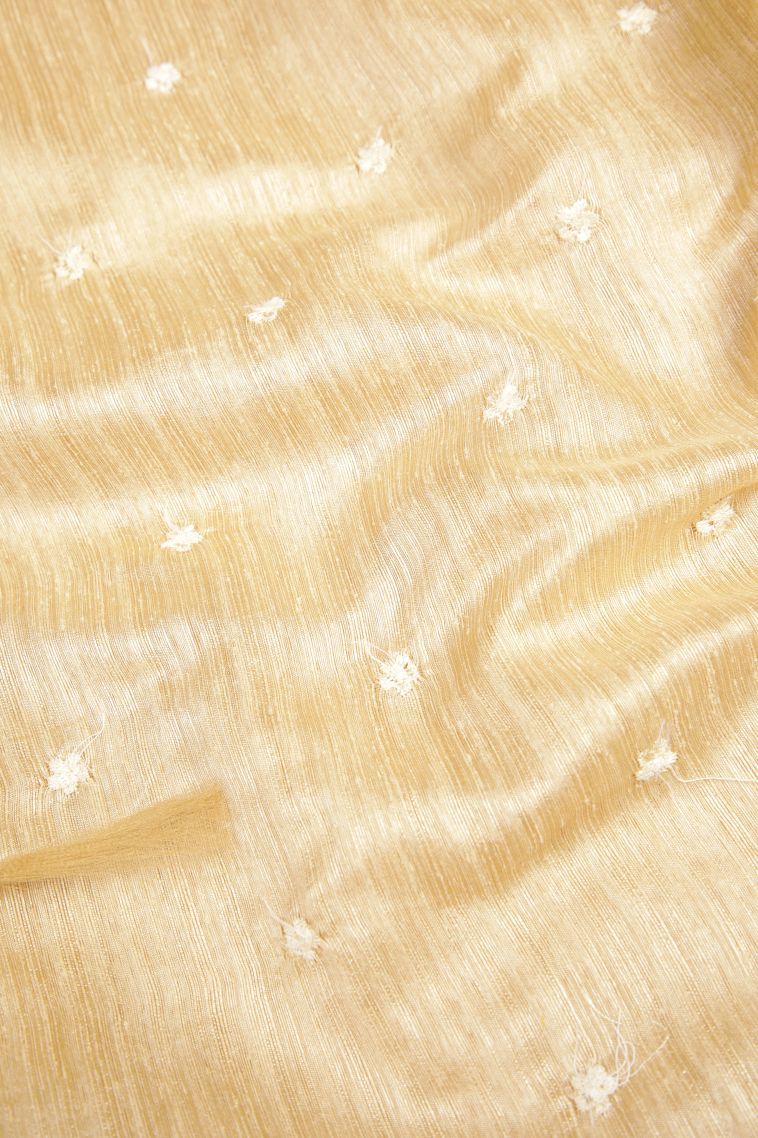 Cream White Tussar Saree with Without Zari Zari Buttis (small Dots Or Motifs) view 3