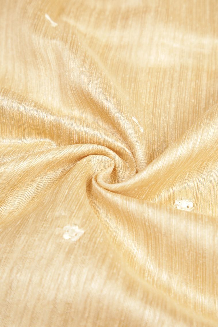 Cream White Tussar Saree with Without Zari Zari Buttis (small Dots Or Motifs) view 4