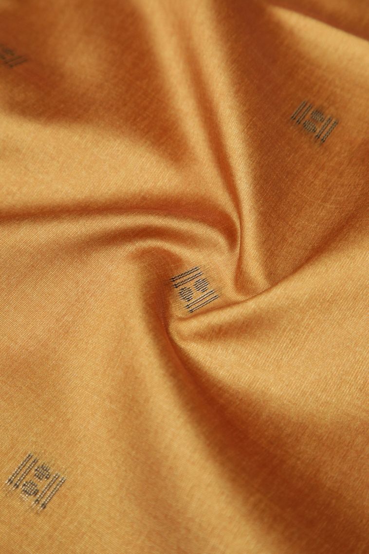 Gold Tussar Saree with Bronze Zari Buttis (small Dots Or Motifs) view 4