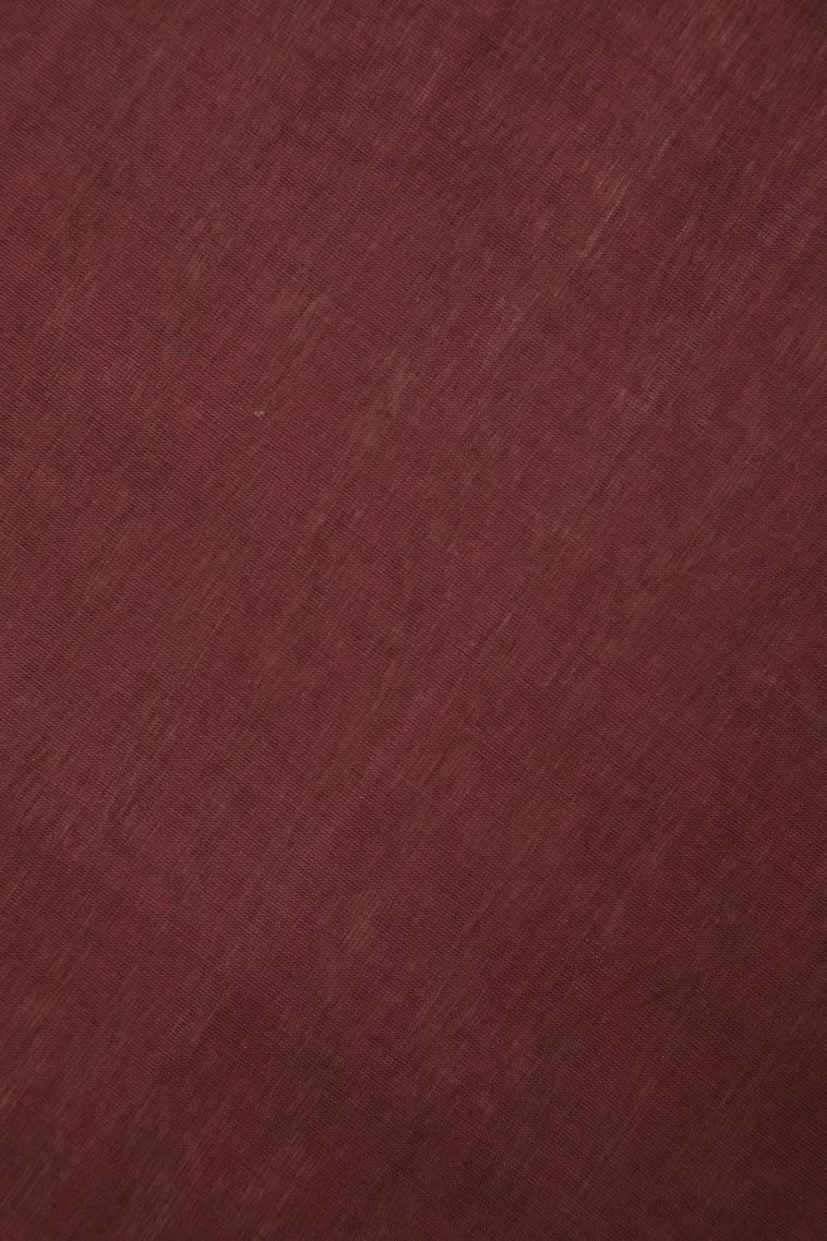 Blush Red Pure Handloom Kovai Cotton with Without Zari Zari Buttis (small Dots Or Motifs) view 3