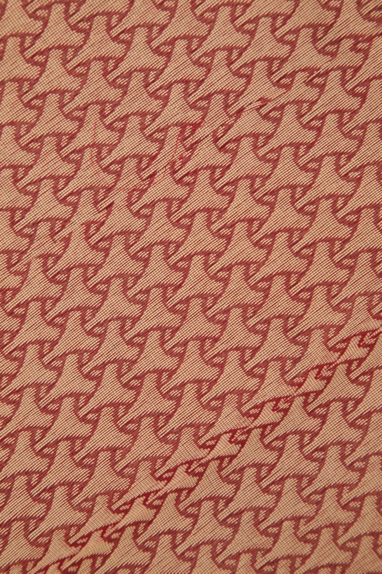 Apple Red Silk Cotton with Without Zari Zari Buttis (small Dots Or Motifs) view 3