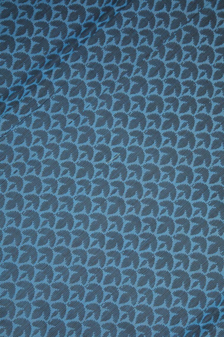 Sky Blue Silk Cotton with Without Zari Zari Buttis (small Dots Or Motifs) view 3