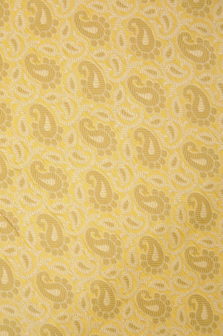 Lemon Yellow Tussar Saree with Without Zari Zari Floral Patterns view 3