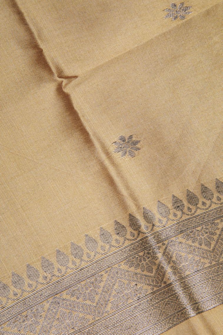 Tawny Brown Tussar Saree with Bronze Zari Buttis (small Dots Or Motifs) view 3
