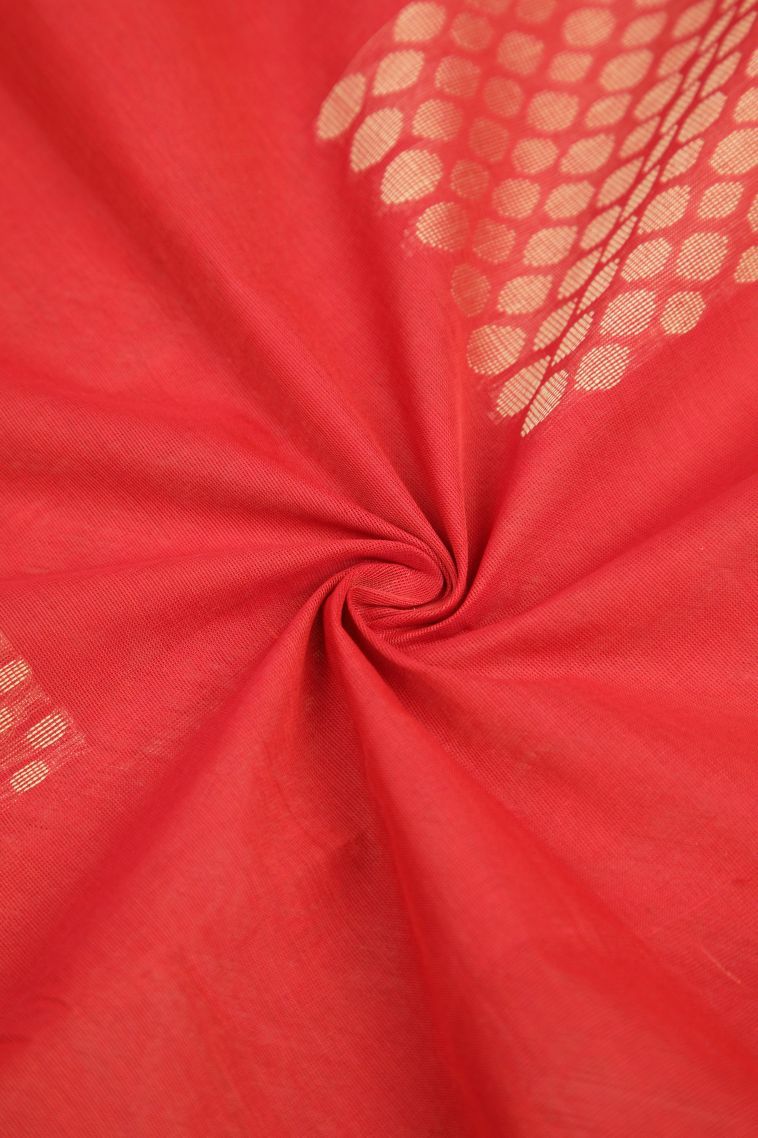 Tiger Orange Pure Handloom Kovai Cotton with Without Zari Zari Buttis (small Dots Or Motifs) view 4