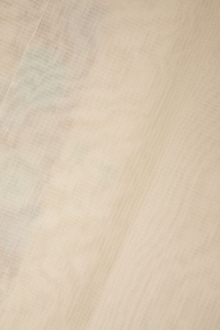 Cream White Tussar Saree with Without Zari Zari Buttis (small Dots Or Motifs) view 3