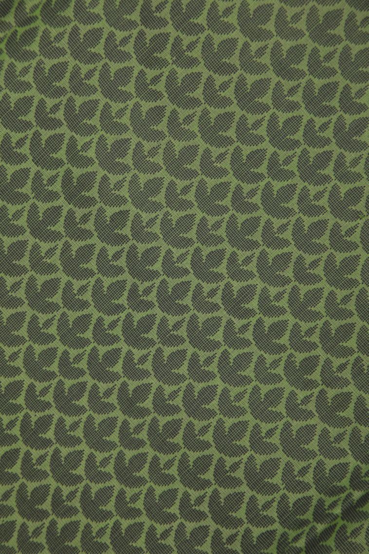Olive Green Silk Cotton with Without Zari Zari Buttis (small Dots Or Motifs) view 3