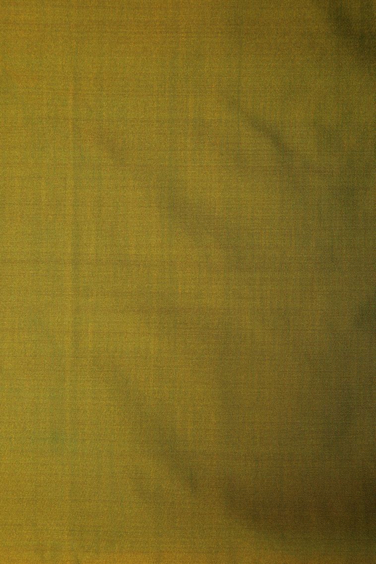 Pine Green Soft Silk Saree with Copper Zari Stripes view 3