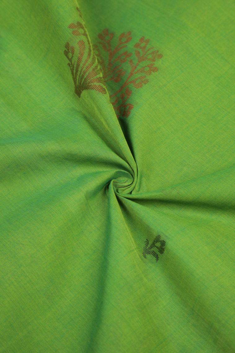 Juniper Green Pure Handloom Kovai Cotton with Without Zari Zari Buttis (small Dots Or Motifs) view 4