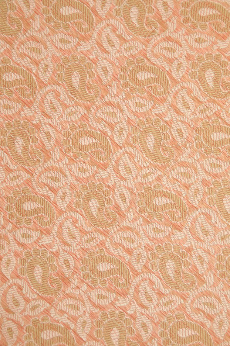 Coral Pink Tussar Saree with Without Zari Zari Floral Patterns view 3