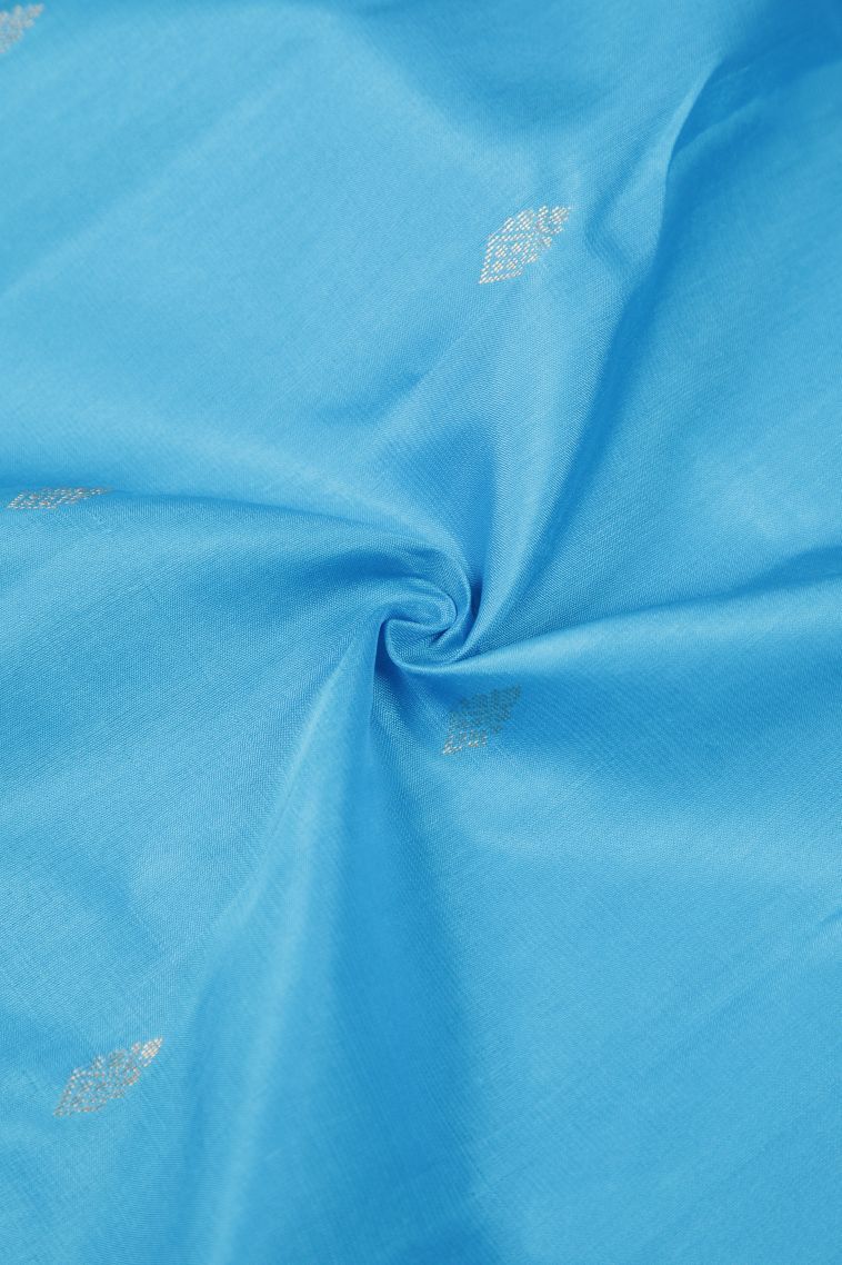 Sky Blue Soft Silk Saree with Gold Zari Buttis (small Dots Or Motifs) view 4