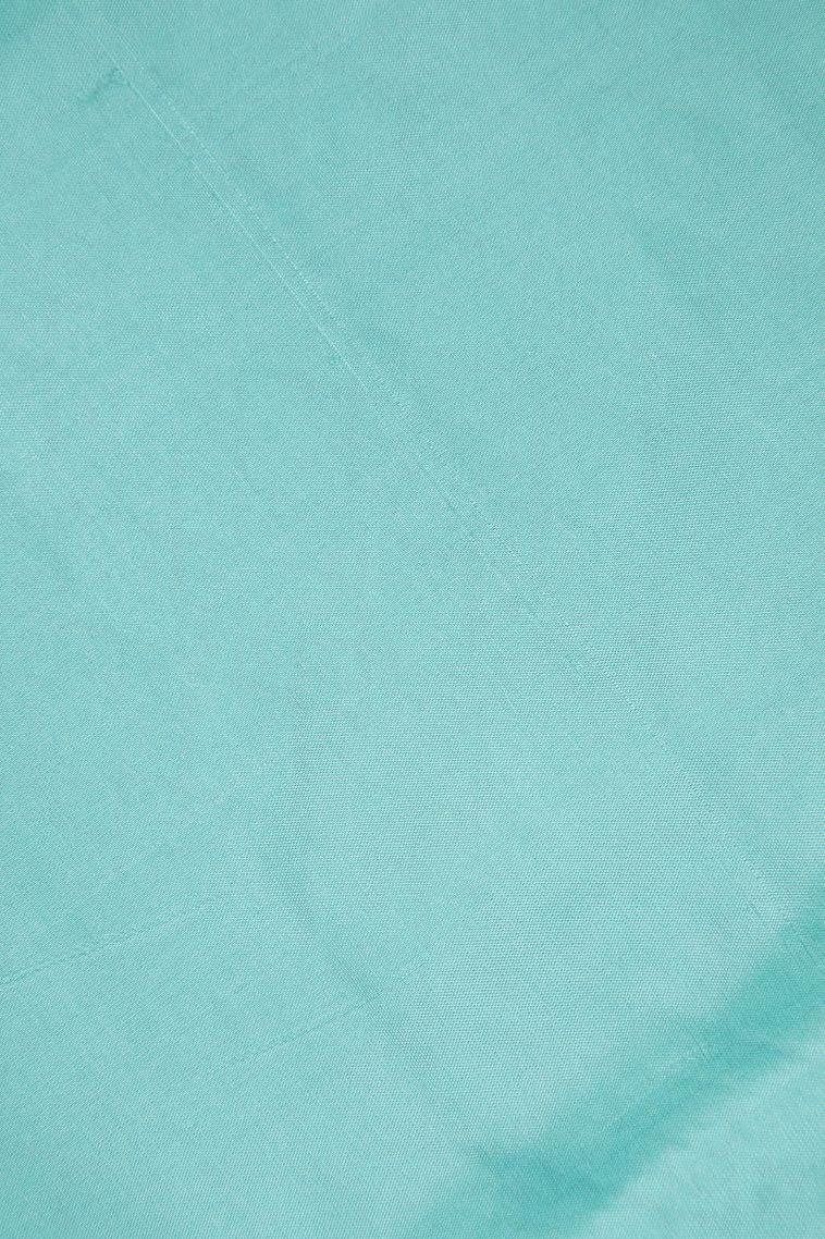 Navy Blue Soft Silk Saree with Copper Zari Buttis (small Dots Or Motifs) view 3