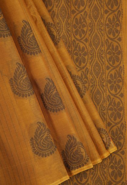 Apricot Orange Pure Handloom Kovai Cotton with Without Zari Zari Peacock Motifs