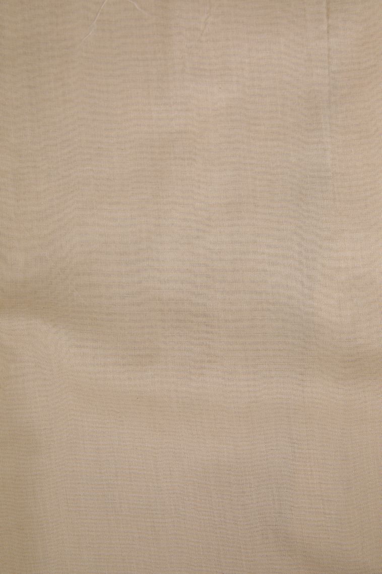 Cream White Organza Saree with Without Zari Zari Floral Patterns view 3