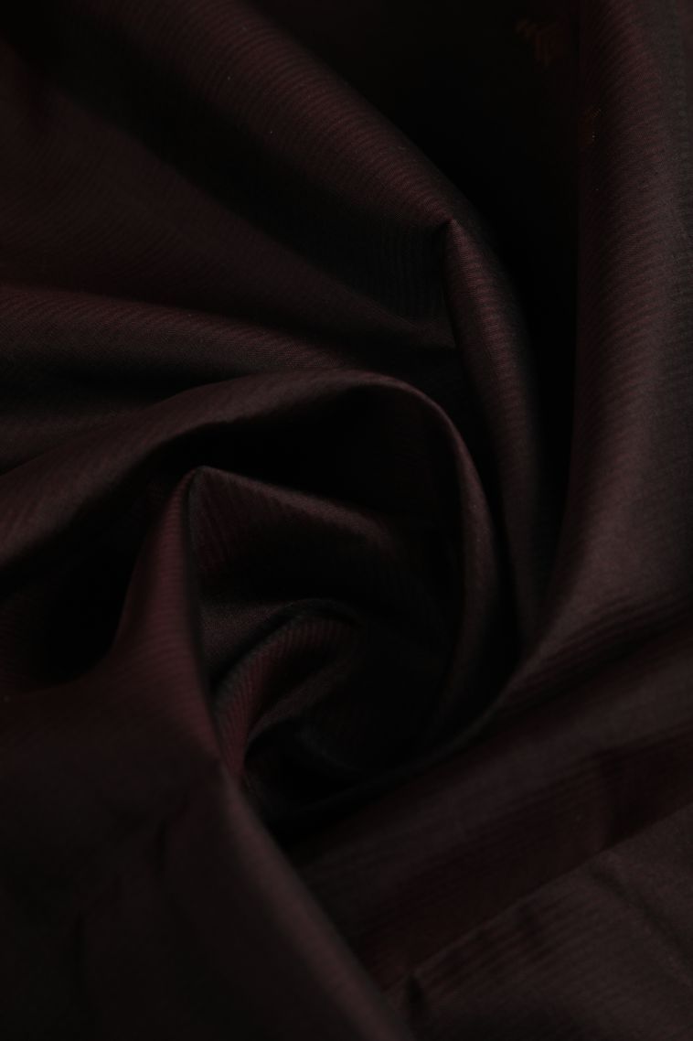 Hickory Brown Soft Silk Saree with Gold Zari Buttis (small Dots Or Motifs) view 4