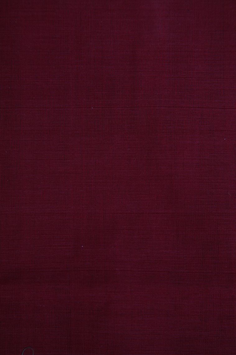 Basil Green Pure Handloom Kovai Cotton with Without Zari Zari Floral Patterns view 3