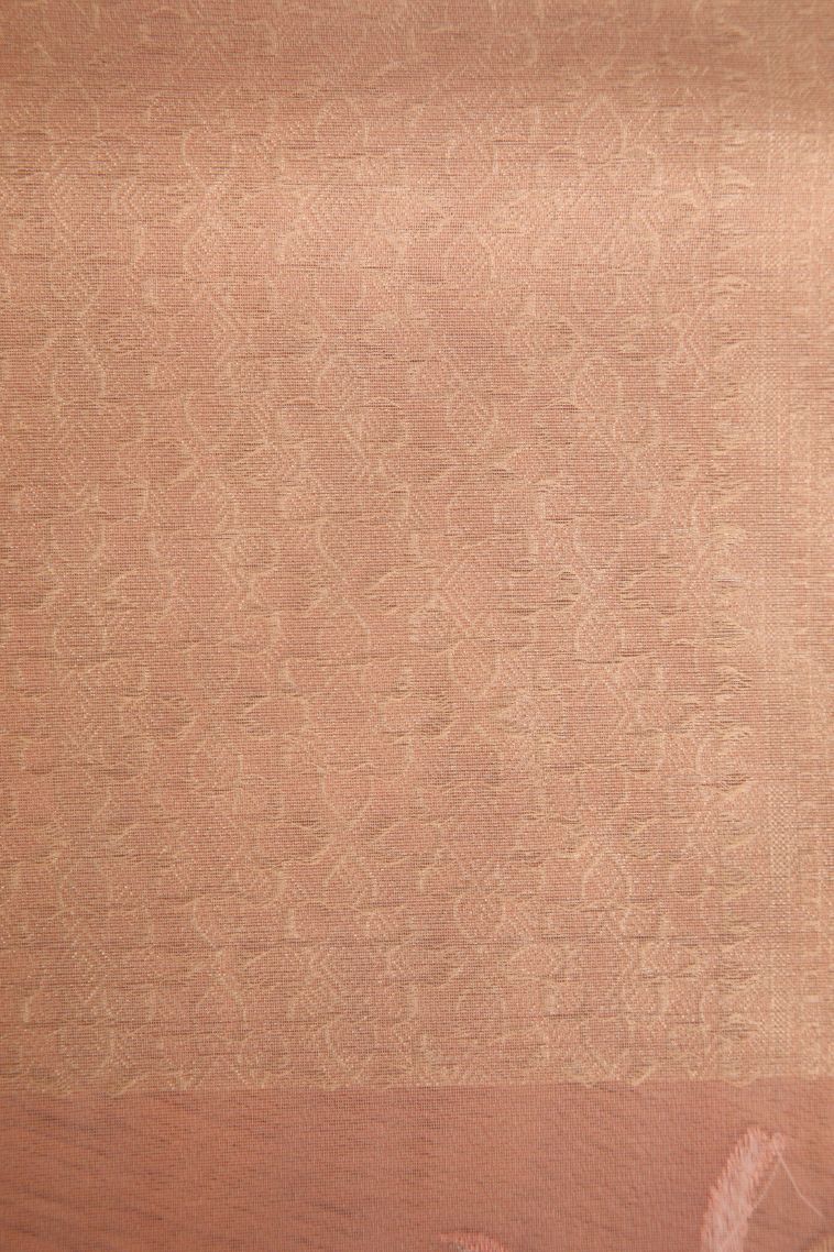 Peach Pink Organza Saree with Antic Zari Geometric Shapes view 3