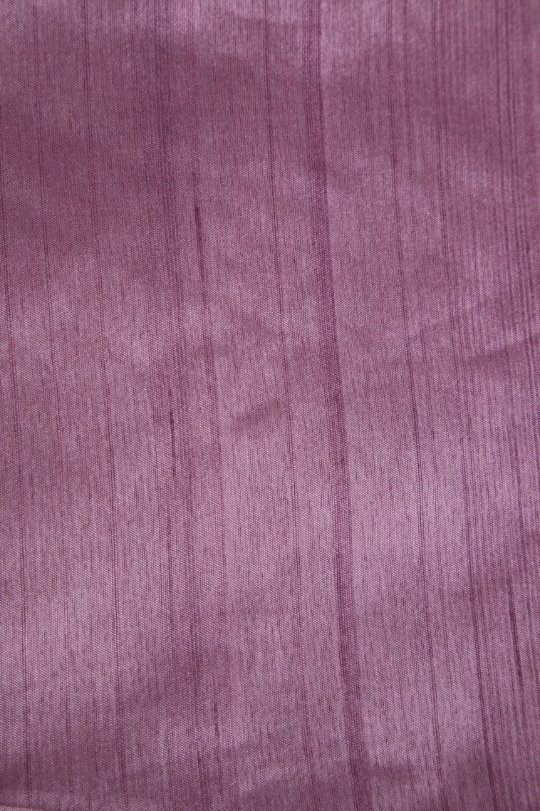 Ballet Pink Semi Tussar Silk with Without Zari Zari Buttis (small Dots Or Motifs) view 3