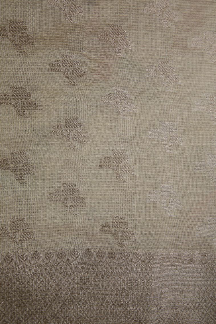 Cream White Organza Saree with Without Zari Zari Peacock Motifs view 3