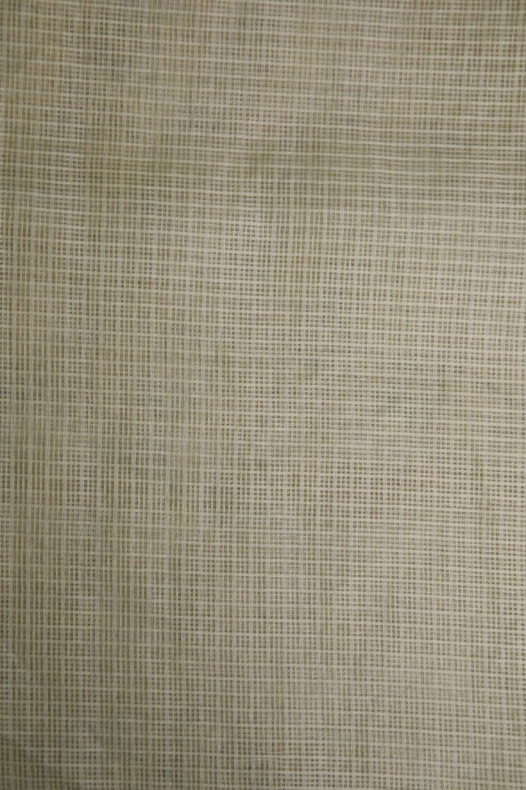 Olive Green Organza Saree with Without Zari Zari Floral Patterns view 3