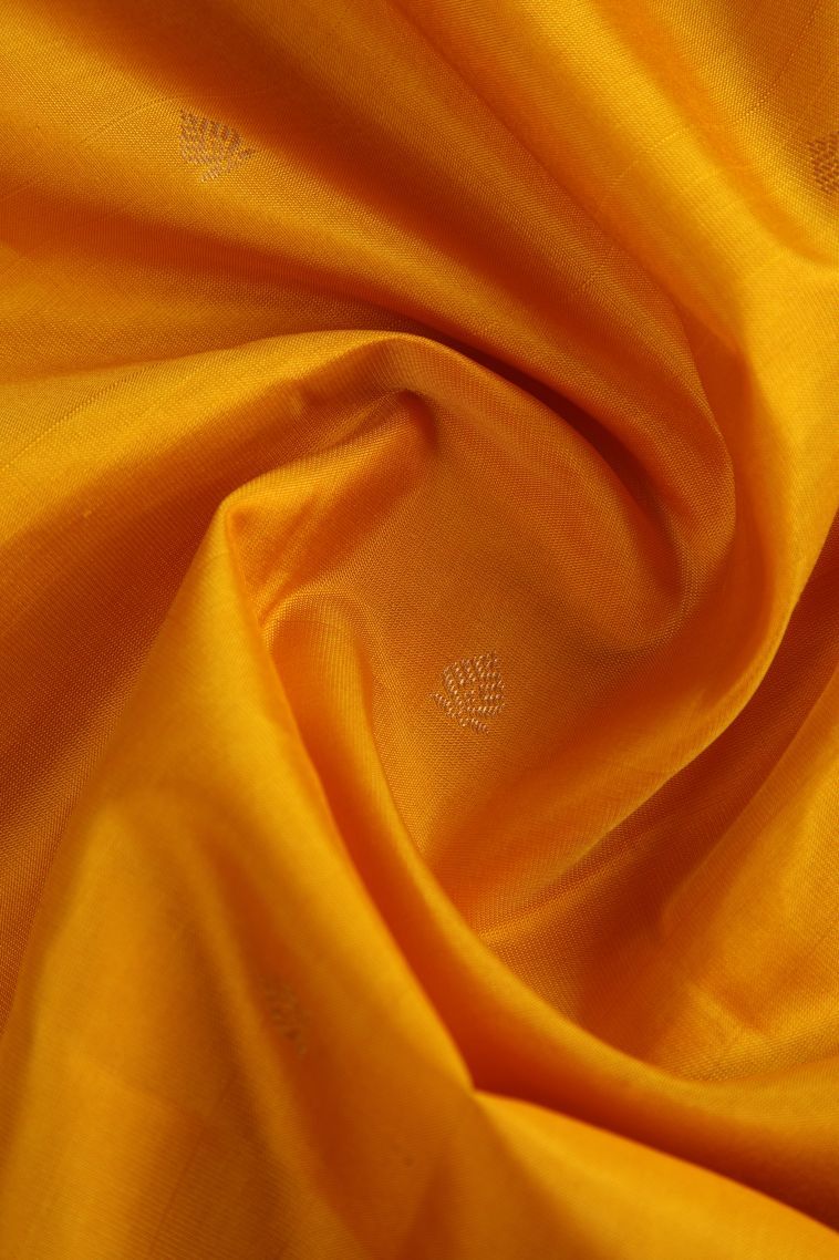 Merigold Orange Soft Silk Saree with Gold Zari Buttis (small Dots Or Motifs) view 4