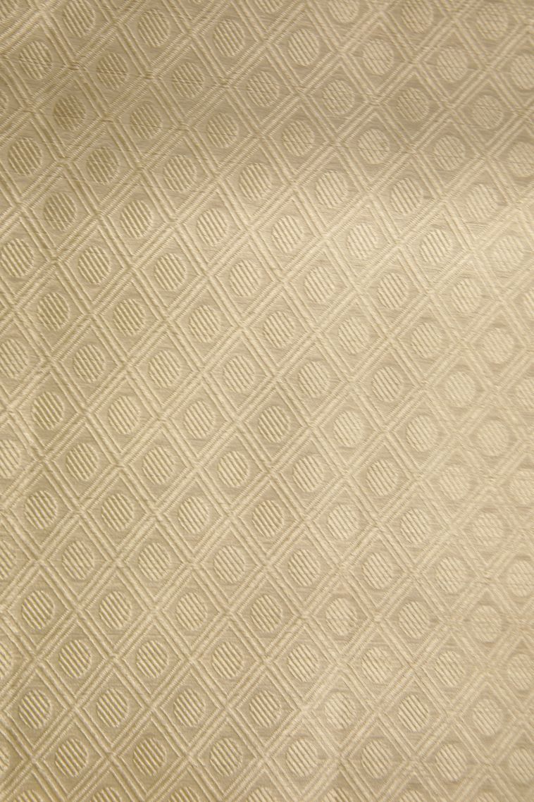 Cream White Organza Saree with Antic Zari Geometric Shapes view 3