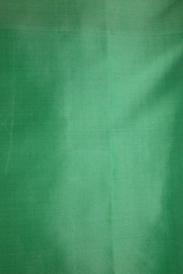 Gold Soft Silk Saree with Gold And Silver Zari Floral Patterns view 3