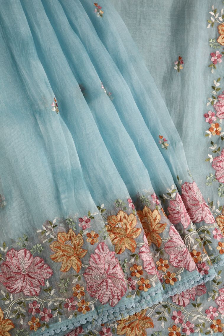 Sky Blue Organza Saree with Multy Coiour Zari Floral Puttas view 1