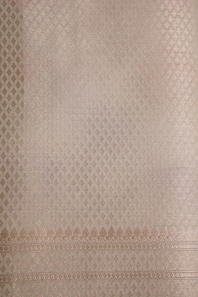 Coconut White Organza Saree with Copper Zari Floral Patterns view 3