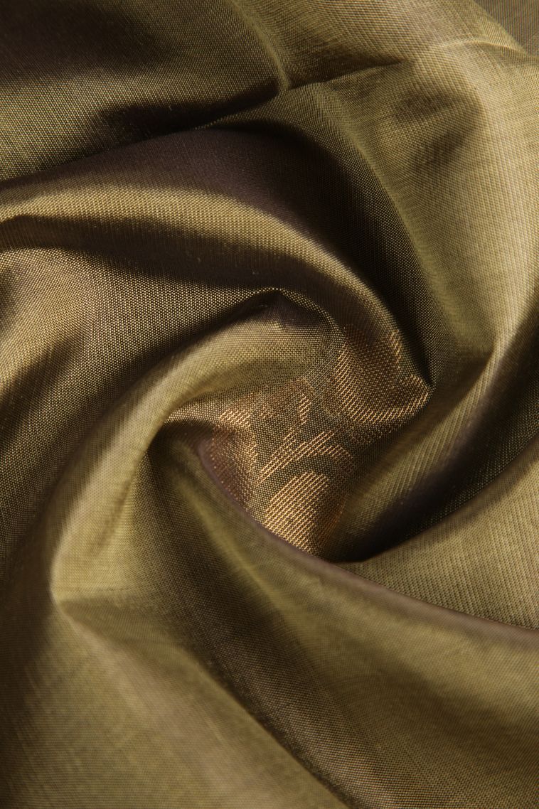 Tortilla Brown Soft Silk Saree with Gold Zari Floral Puttas view 4