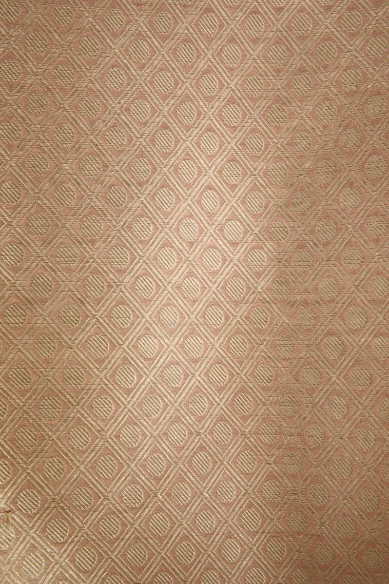 Salmon Pink Organza Saree with Antic Zari Geometric Shapes view 3