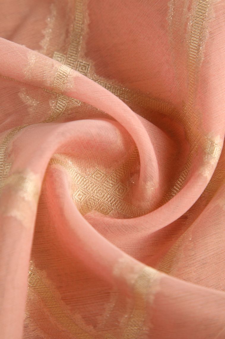 Salmon Pink Organza Saree with Antic Zari Geometric Shapes view 4